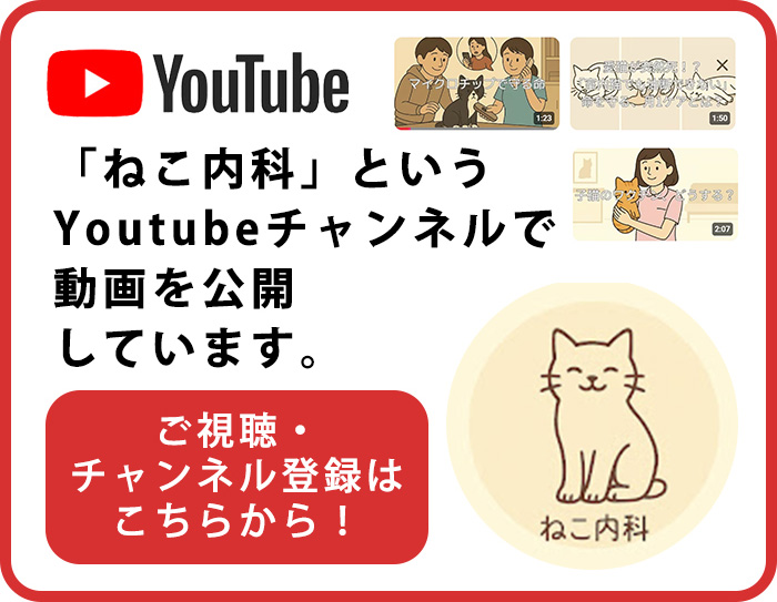 ねこ内科